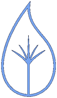 Why Do You Create? logo — a flame growing from a seed